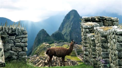 Video Camino Inca | Inca, Natural landmarks, Vacation