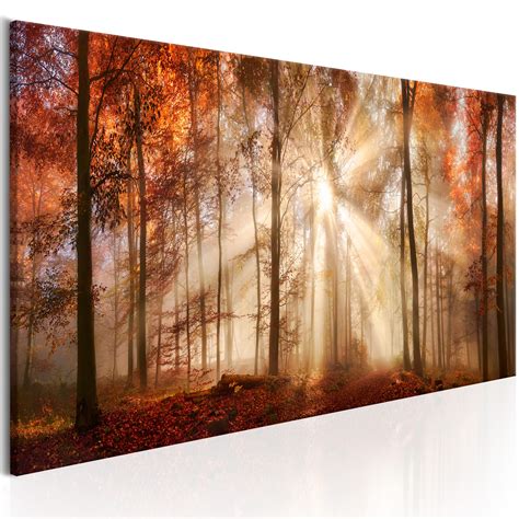 FOREST NATURE Canvas Print Framed Wall Art Picture Photo Image c-B-0235 ...