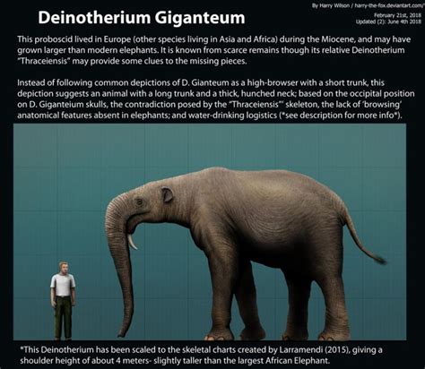 Deinotherium Giganteum Size by Harry-the-Fox on DeviantArt | Prehistoric animals, Extinct ...