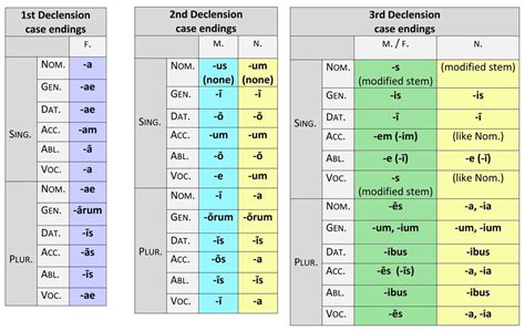 Latin Grammar Diagram | Quizlet