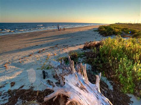 Galveston Island State Park | Visit Galveston