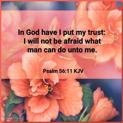 Psalm 56:11 KJV In God have I put my trust: I will not be afraid what man can do unto me Bible ...