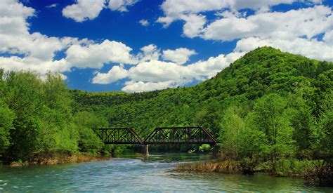 Free picture: water, river, nature, wood, bridge, tree, summer, landscape