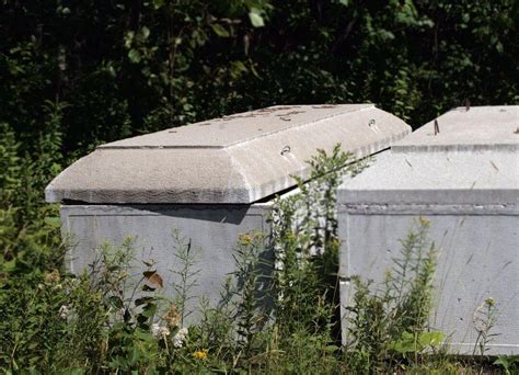 What Is a Burial Vault: Types and Costs Explained | Safe Passage