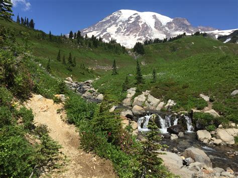 The Best of Paradise - in Mount Rainier National Park | Wanderer Writes