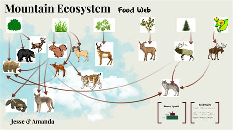 Mountain Ecosystem Pictures