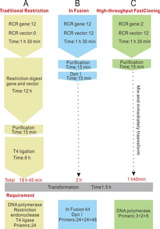 High-throughput FastCloning technology: A low-cost method for parallel cloning | PLOS ONE