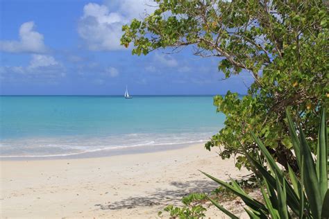 1. Galley Bay Beach As you stroll along the water at Galley Bay Beach ...