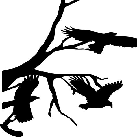 Crow Trio Silhouette Free Stock Photo - Public Domain Pictures