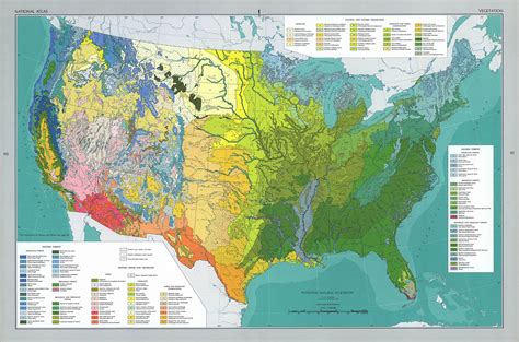 Potential natural vegetation - Wikipedia