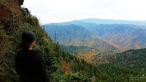 Summit of Mount LeConte | Hiking trails, Summit, Natural landmarks