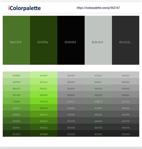 750+ Latest Color Schemes with Turtle Green Color tone combinations | 2023 | iColorpalette