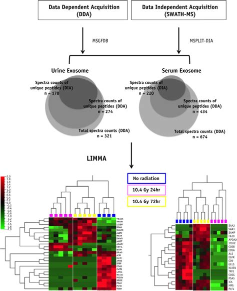 Identifying Urinary and Serum Exosome Biomarkers for Radiation Exposure | Exosome RNA