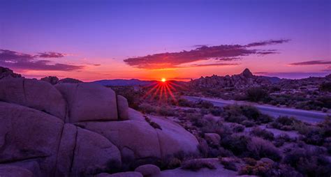 Joshua Tree National Park Sunrise | Jesse Thorpe | Flickr