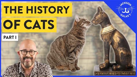 The History of Cats: Part I - YouTube