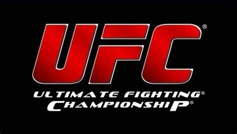 UFC Fighting Categories on Betting Sites