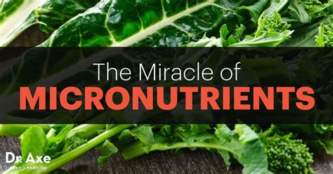 Micronutrients Types, Foods, Benefits, Functions and More - Dr. Axe