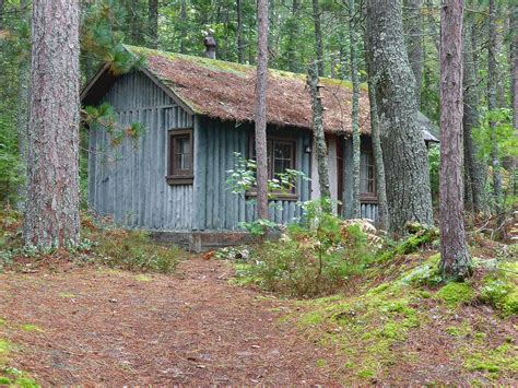 This disused, but still sound, cabin is located in the forest a few yards above Twelve Mile ...