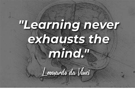 Was Leonardo da Vinci A Philosopher? | Anita Louise Art