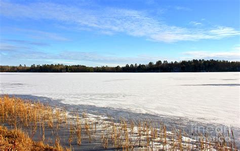 Minnesota Winter Landscape Photograph by Ann Brown - Fine Art America