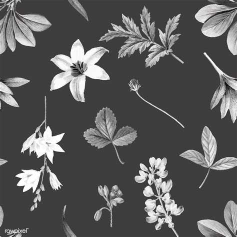 Black Floral Wallpapers on WallpaperDog