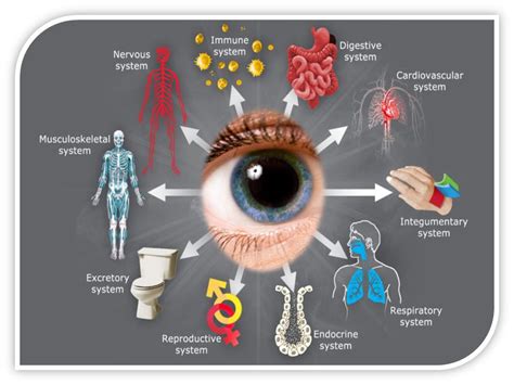 Systemic Disease and the Eye – Eye-Courses.com