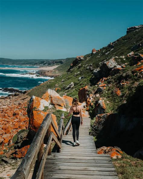 Hiking Robberg Nature Reserve: Everything You Need to Know