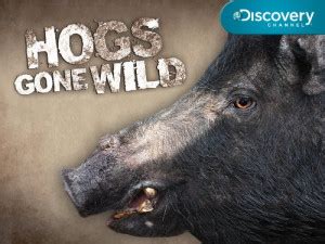 Wild Hogs 2 Movie Quotes. QuotesGram