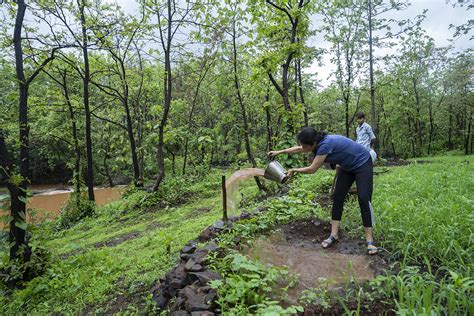 The Story of India's Private Forests