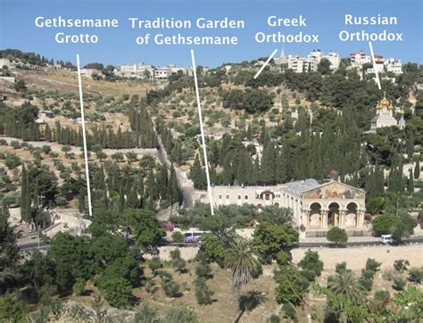 Jerusalem - Garden of Gethsemane