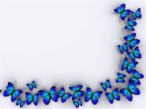 Butterflies Clipart Border