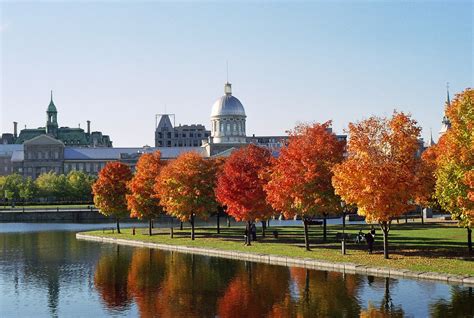 Traveler Guide: Montreal, Canada