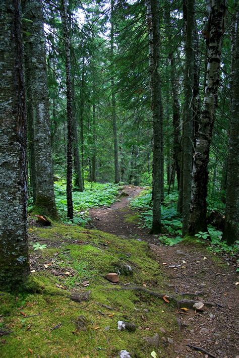 Superior Hiking Trails | North Shore - Inland Heading up the… | Flickr