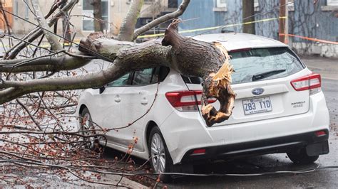 Montreal ice storm: What to do in case of damage | CTV News