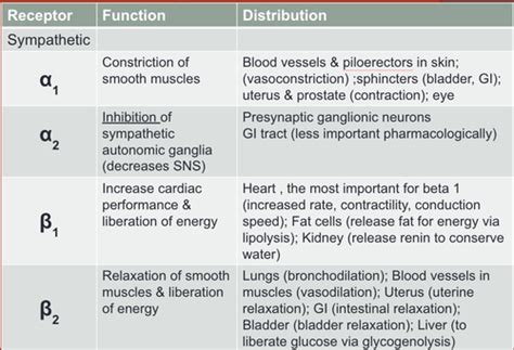 Alpha 2 Adrenergic Agonist - slidesharetrick