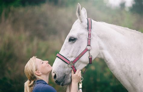 Pictures Of White Horses