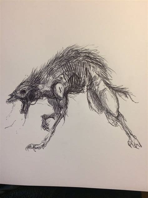 Dire Wolf Sketch at PaintingValley.com | Explore collection of Dire Wolf Sketch