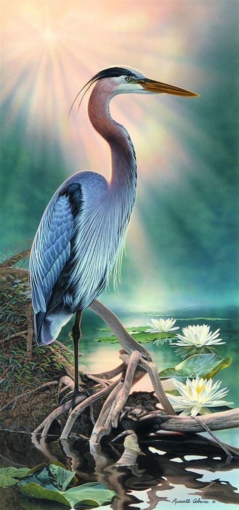 127 best Great Blue Heron images on Pinterest | Blue heron, Bird ...