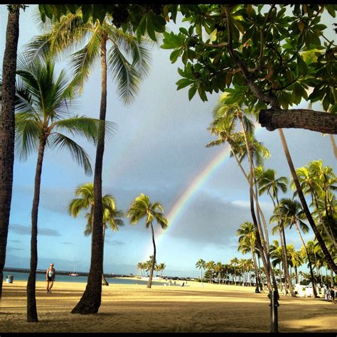 Waikiki: Sunrise and Sunset - Vagabond3