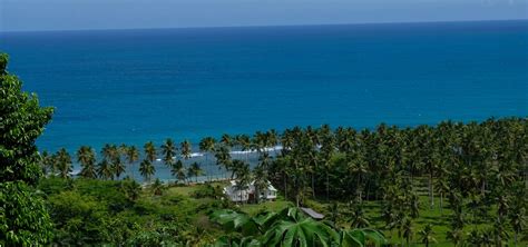 2025 Best Things to Do in Samana, DR | #ExperienceTransat