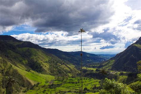 A Guide to Salento & the Cocora Valley of Colombia - Wanderluluu