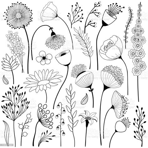 Set of abstract flowers in black and white | Doodle art flowers, Flower ...