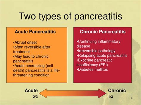 PPT - Pancreatitis in Dogs and Cats PowerPoint Presentation, free ...