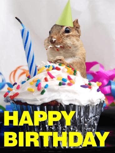 Pin by Merlina katkat on birthday | Happy birthday animals, Happy birthday squirrel, Birthday humor