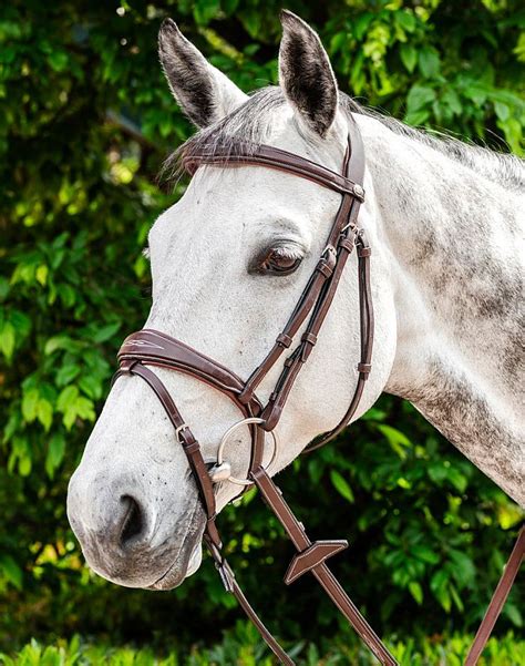 Prestige Bridle "E141" Fancy Stitched Raised • Tack N Rider