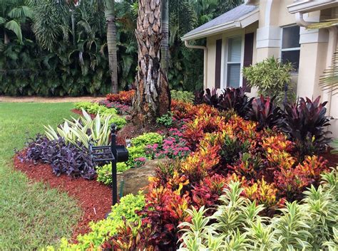 Front Yard Central Florida Landscaping Ideas - ezildaricci