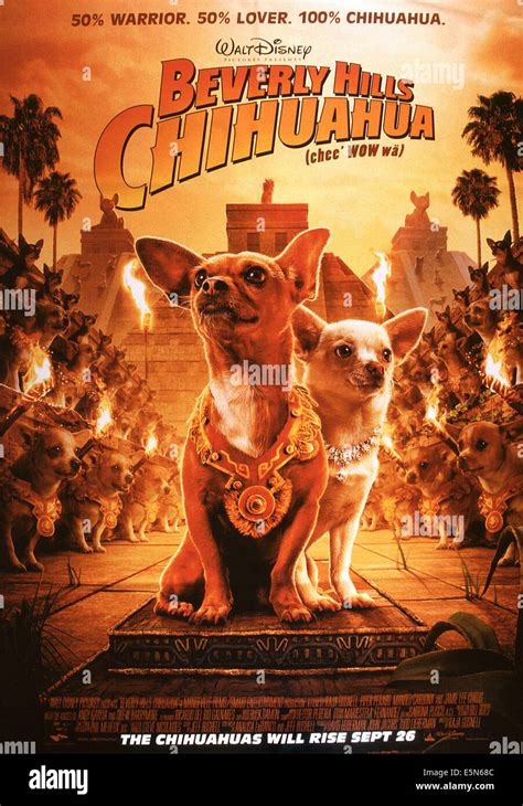 Beverly hills chihuahua poster hi-res stock photography and images - Alamy