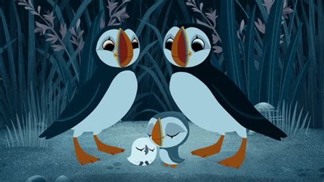 Puffin Rock Puffinrock Family Snuggletime Mama Papa Oona Baba GIFs - Find & Share on GIPHY