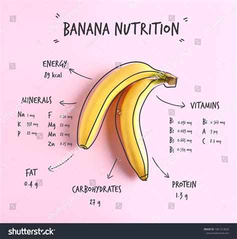 Plantain Vs Banana Nutrition: Which Is Healthier?, 43% OFF