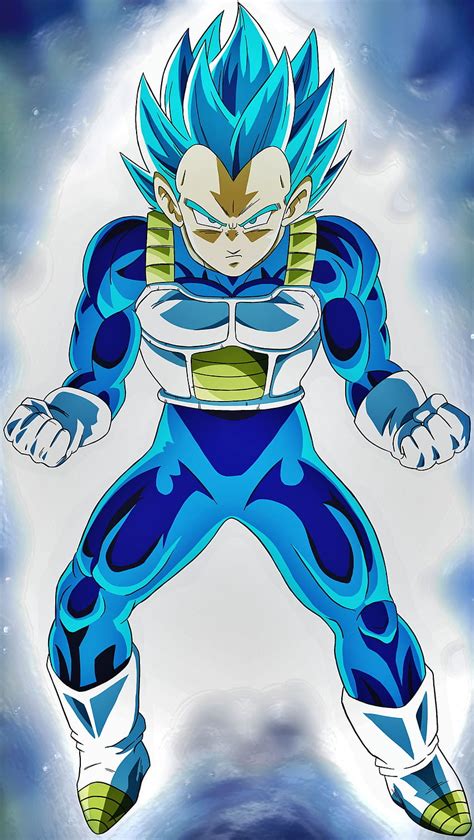 Vegeta Super Saiyan Blue Evolution HD phone wallpaper | Pxfuel